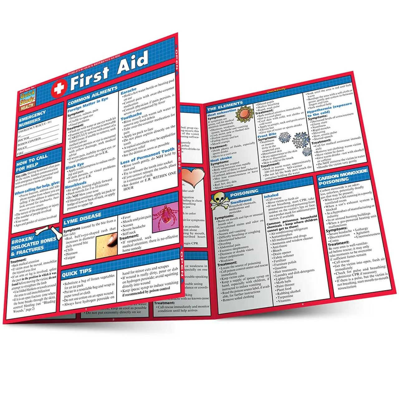 First Aid QuickStudy Laminated Reference Guide (QuickStudy Health) Pamphlet  July 26, 2002